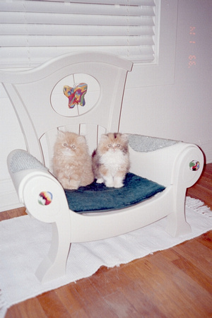 2 poofs on chair 2