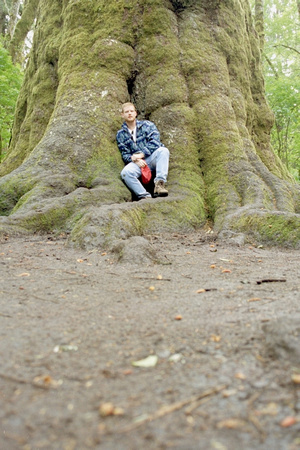 Dan in Big Tree