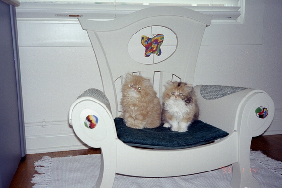 Poofs in Chair 2