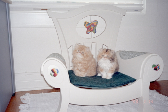 2 poofs on chair 3