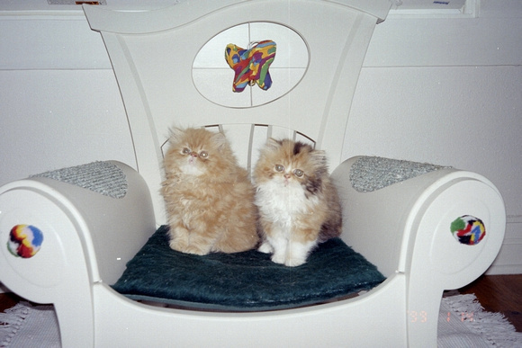 Poofs in Chair