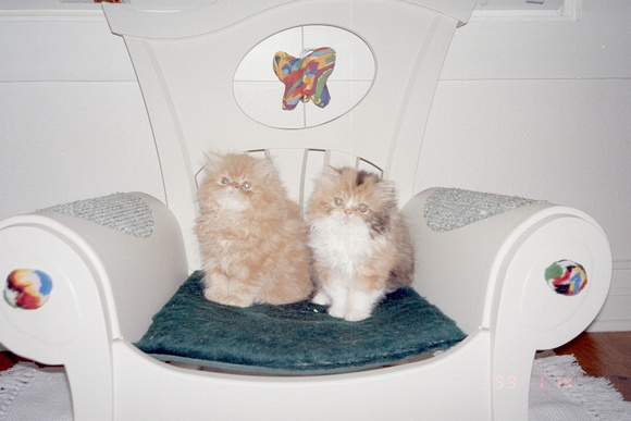 2 Poofs on Chair